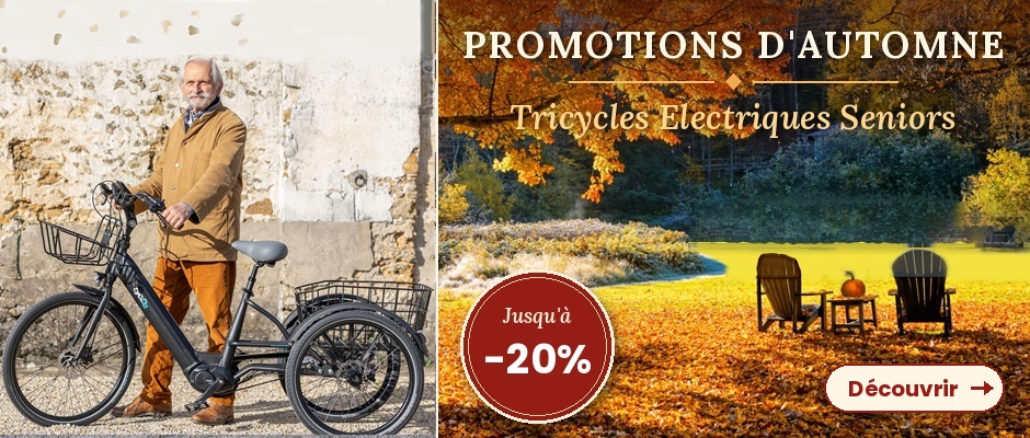 new banseau tricycles electrique automne
